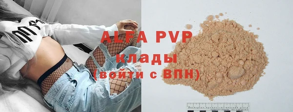 трава Няндома