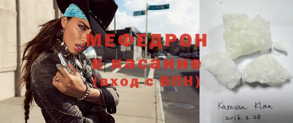 трава Няндома