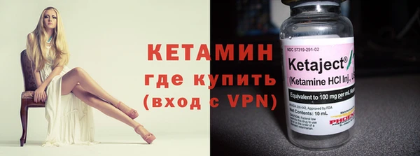 трава Няндома