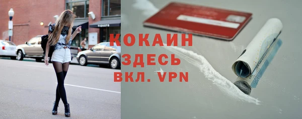 трава Няндома