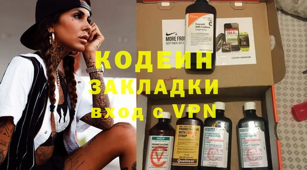шишки Бикин
