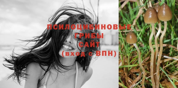 apvp Белая Калитва