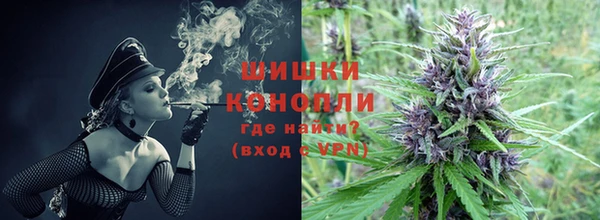 трава Няндома