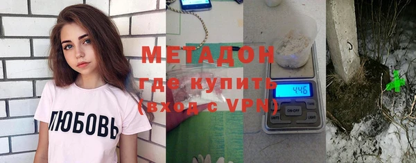 шишки Бикин