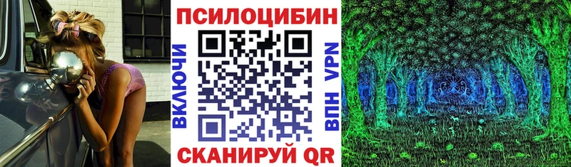 Псилоцибиновые грибы прущие грибы  Тимашёвск 
